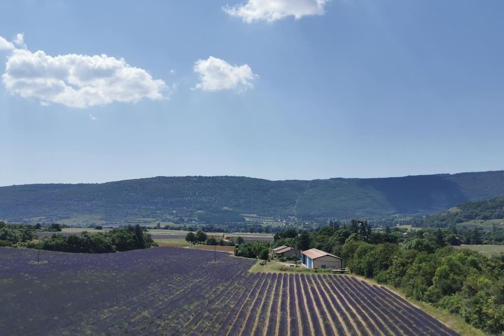 La Petite Reine Du Ventoux Villa Sault-de-Vaucluse Exteriör bild